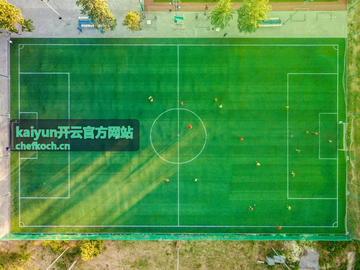 kaiyun开云官方网站成员权限设置界面
